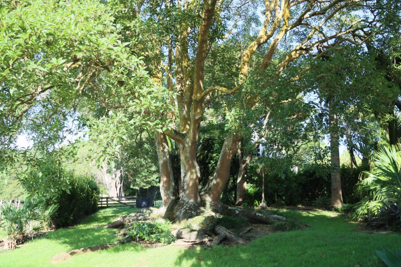 Homestay Headlands Estate